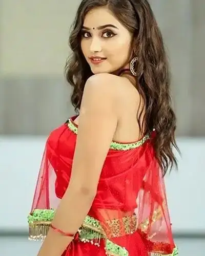 Call Girls Service Halol